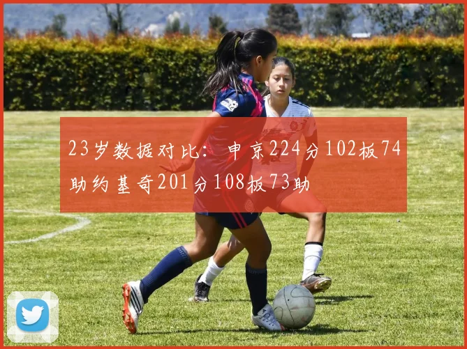 23岁数据对比：申京224分102板74助约基奇201分108板73助