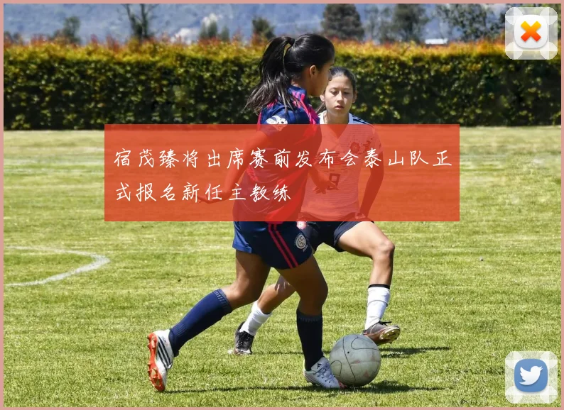 宿茂臻将出席赛前发布会泰山队正式报名新任主教练