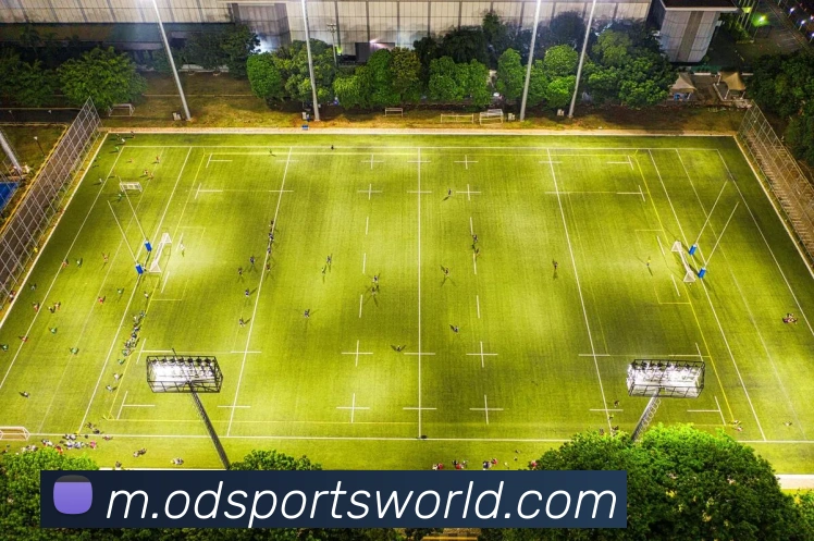 OD体育APP 封面图